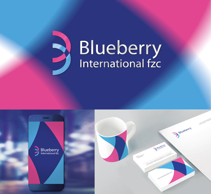 Branding for Blueberry